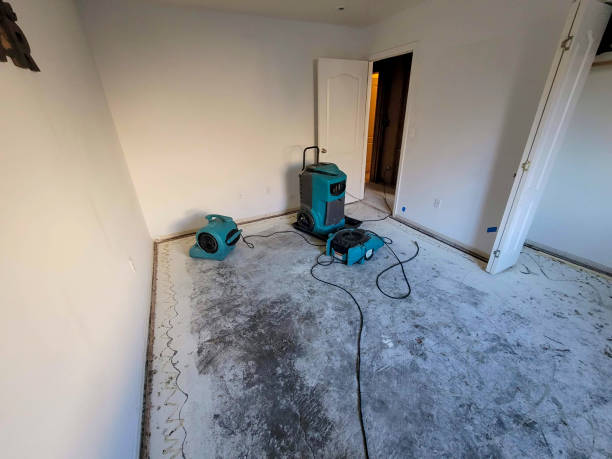 Best Flood restoration services  in Kensett, AR