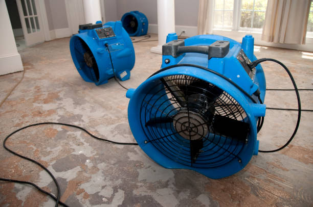 Best Basement water damage restoration  in Kensett, AR