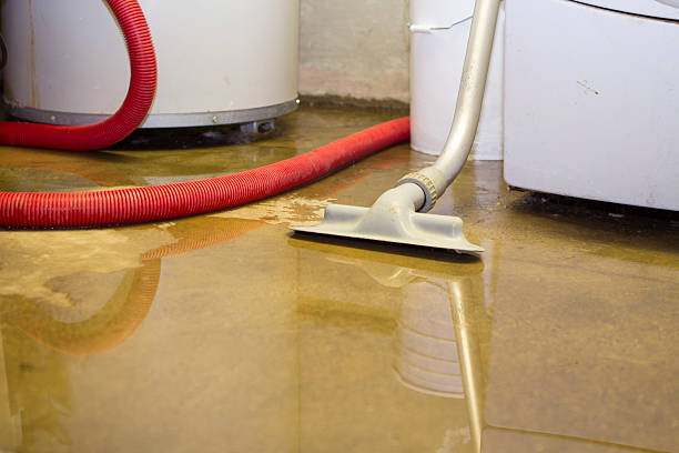 Best Flood damage cleanup  in Kensett, AR