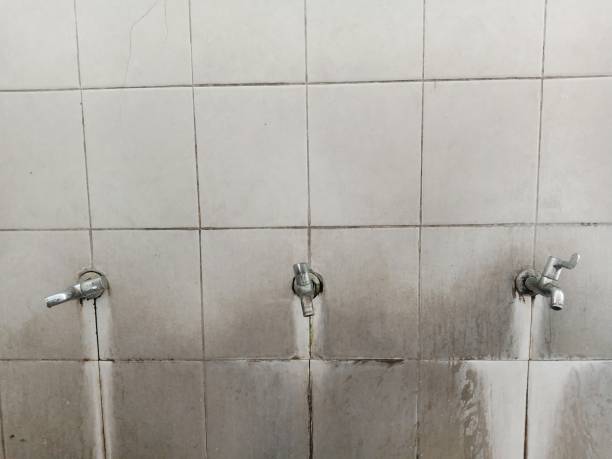 Best 24-hour water damage restoration  in Kensett, AR
