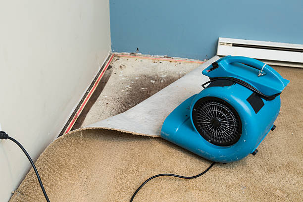 Best Sewage cleanup and water damage restoration  in Kensett, AR